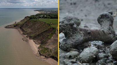 No one is allowed to set foot on ‘world’s most infected island’