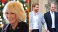 Queen Camilla portrayed as ‘wicked stepmother’ in new Channel 4 documentary