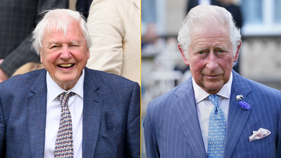 Two thirds of Gen-Z want Sir David Attenborough to be King