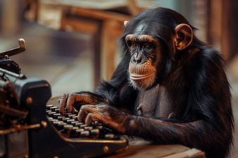 Scientists find universe would die before monkey could type out works of Shakespeare