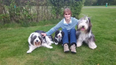 Dog tragically killed by train after she was spooked by fireworks