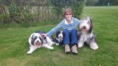 Dog tragically killed by train after she was spooked by fireworks