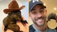 Instagram-famous squirrel euthanised after being forcefully taken from owner
