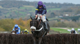 Cheltenham fans left horrified as horse dies seconds after winning race