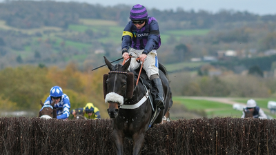 Cheltenham fans left horrified as horse dies seconds after winning race