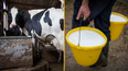 Here’s why Brits are boycotting supermarkets over controversial milk additive