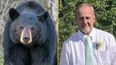 Hunter dies after bear shot out of tree falls on him