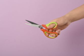 People are only just discovering what the metal in between scissor handles is used for
