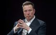 Searing ‘Elon’s Musk’ ad appears on London Underground