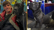All you need to know about the Cane Corso as Jack Fincham jailed for dog’s dangerous behaviour