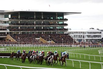 You can still get cheap Cheltenham Festival 2025 tickets for Gold Cup day