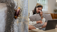 Zoo lets you name a cockroach after your ex for Valentine’s Day