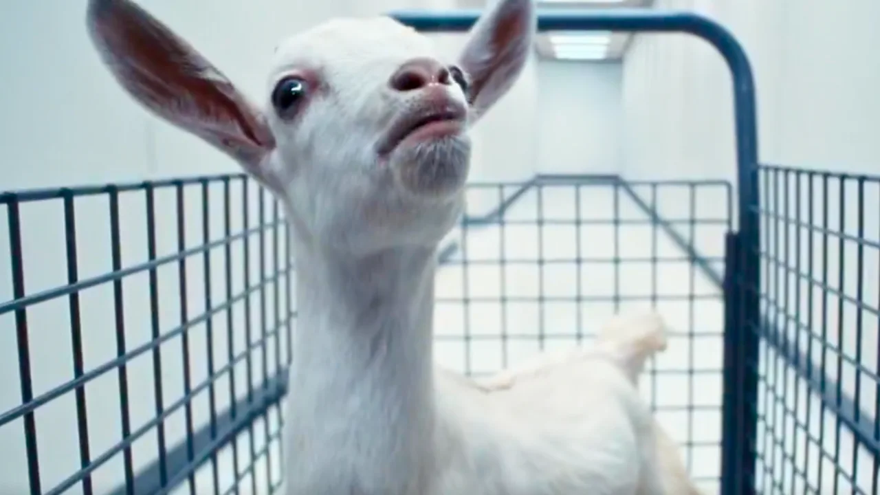 Severance star responds to ‘wild’ viral fan theory involving goats