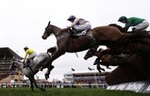 Cheltenham: Follow the 2025 festival live in our hub