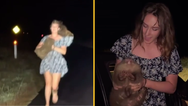 American influencer could have visa revoked after snatching baby wombat from mother