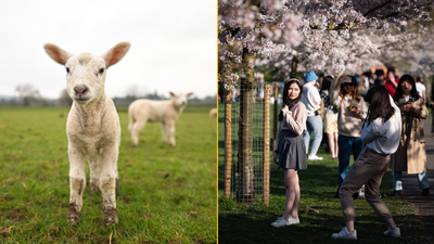 Parts of UK will be hotter than Ibiza this week