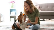 Dogs actually like it when their owners talk to them in a baby voice, study says