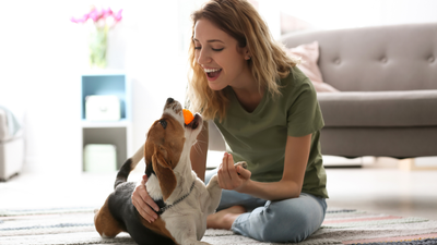 Dogs actually like it when their owners talk to them in a baby voice, study says