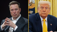 Donald Trump has meltdown as Tesla stock crashes