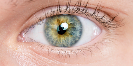 Scientists say they have discovered a new colour no one has ever seen before