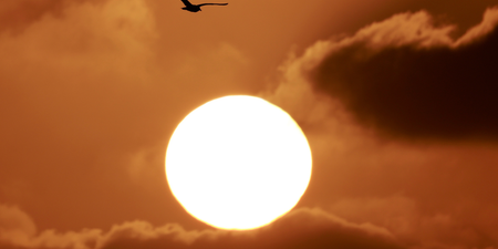 UK scientists to attempt to ‘dim the sun’ in £50m geoengineering project