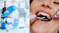 Lab-grown teeth could become an alternative for fillings in humans
