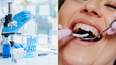 Lab-grown teeth could become an alternative for fillings in humans