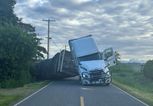 250 million honeybees escape into nature after lorry overturns on road