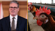 UK agrees to concessions on food and agriculture imports from US