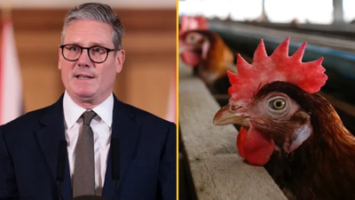 UK agrees to concessions on food and agriculture imports from US