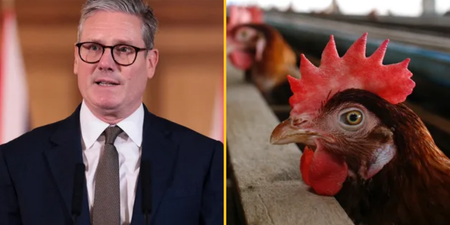 UK agrees to concessions on food and agriculture imports from US