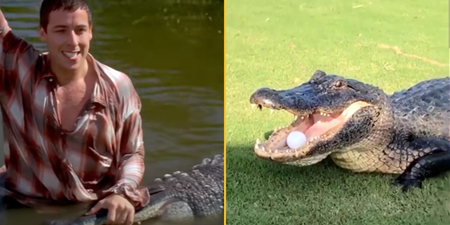 Morris, alligator from Happy Gilmore, dies aged over 80 years old
