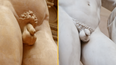 Tiny dicks might become popular again, according to experts