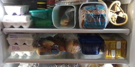 UK households told to put A4 sheet of paper in fridge before Saturday