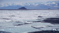 Stark warning issued over Antarctic Ice Sheet that is ‘on verge of collapsing’