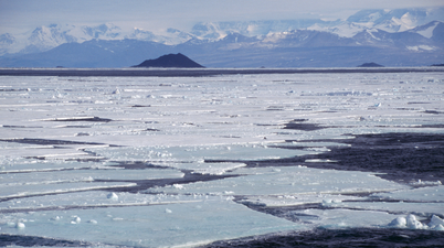 Stark warning issued over Antarctic Ice Sheet that is ‘on verge of collapsing’