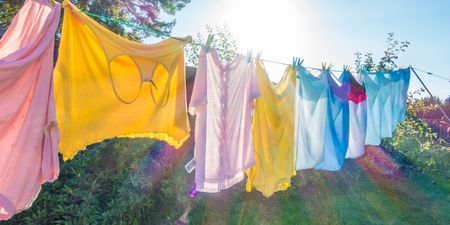 UK households told not to dry clothes on washing lines from tomorrow