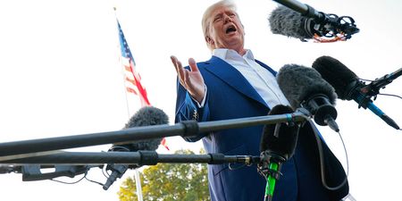 Donald Trump announces he plans to host UFC fight at the White House