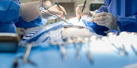 Paedophile to be surgically castrated after raping 6-year-old girl