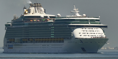 Man dies after falling overboard on cruise ship