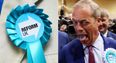 Reform’s membership ‘falls by almost 10,000 in a month’
