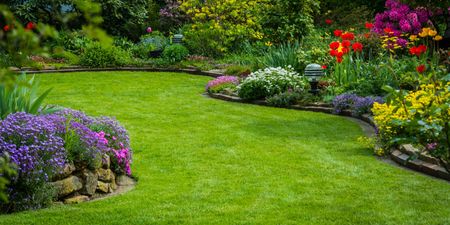 UK households urged to sprinkle chilli powder on garden this month