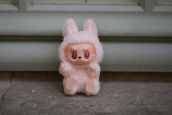 Urgent warning issued over ‘Labubo dolls’ with fears they could kill