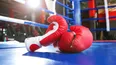 Second boxer from same event dies from brain injuries