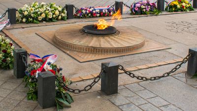 Man faces deportation after lighting cigarette on eternal flame of Tomb of the Unknown Soldier