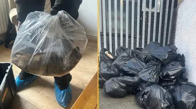 Monster 22-inch rat ‘bigger than a cat’ discovered in UK home